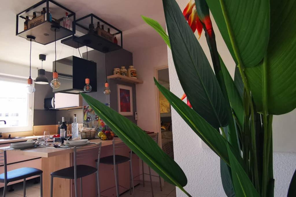 Appartement Premium, Proche Faculte & Centre Ville Perpignan Kültér fotó